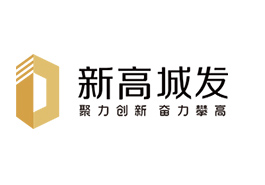 新高城發“紅磚”青年突擊隊助力重大項目建設